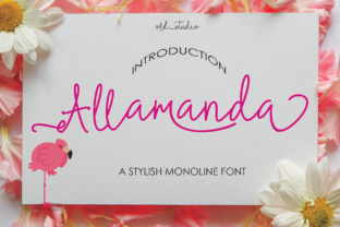 Allamanda Font: A Modern Handwritten Script for Branding Projects