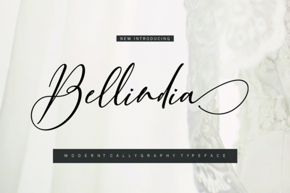 Bellindia Font: A Script That Elevates Your Brand