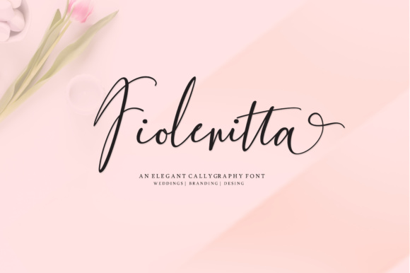 Fiolenitta Font for Feminine Branding and Business Design