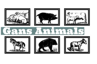 Gans Animals Font for Creative Branding and Marketing