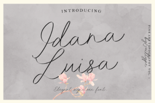 Idana Luisa Font Review for Brand Design Projects