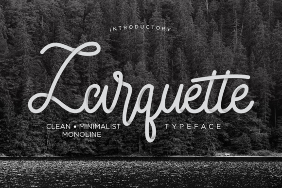 Larquette Font: A Stylish Script for Memorable Digital Branding