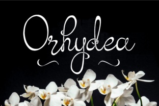 Orhydea Script Font for Handmade and Creative Projects