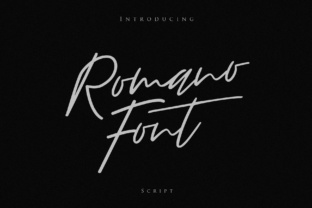 Romano Font Review: A Stylish Script for Branding Projects