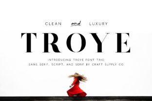 Troye Trio Font for Modern Editorial Design